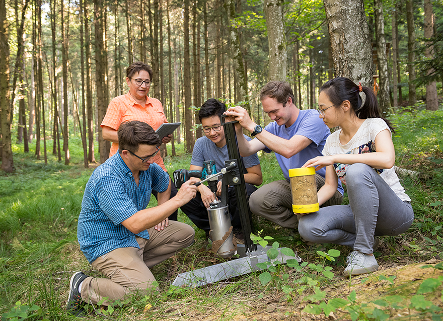 Ingrid Kögel-Knabner und ihre Mitarbeiterinnen und Mitarbeiter nehmen Bodenproben im Wald