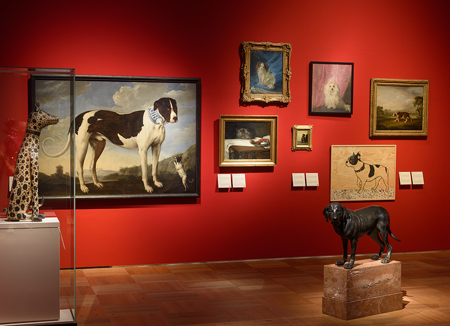 Interessante Einblicke in die Beziehung zwischen Mensch und Hund bietet die aktuelle Sonderausstellung im Nationalmuseum