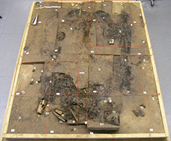 Februar 2012: Die dunklen Bereiche zeigen Zonen an, in denen sich durch die Metallkorrosion auch organische Materialien gut erhalten haben (Foto: ASM, St. Gussmann)