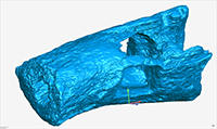 3D-Gesamtdokumentation der Bestattung und seiner Beigaben(Darstellungen ASM: i3 Hochschule Mainz, Chr. Mazzola)