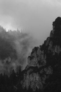 Wildnis im Nebel: Platz 2 in der Kategorie „Wälder, Wiesen, Wildnis“, AK 11 bis 14 Jahre (© Anna-Rosa Brenner)