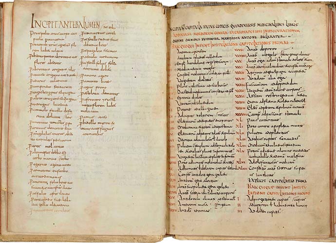 Ein eindrucksvolles Exponat: das Arzneibuch der Benediktinerabtei Lorsch (ca. 800 n.Chr.)